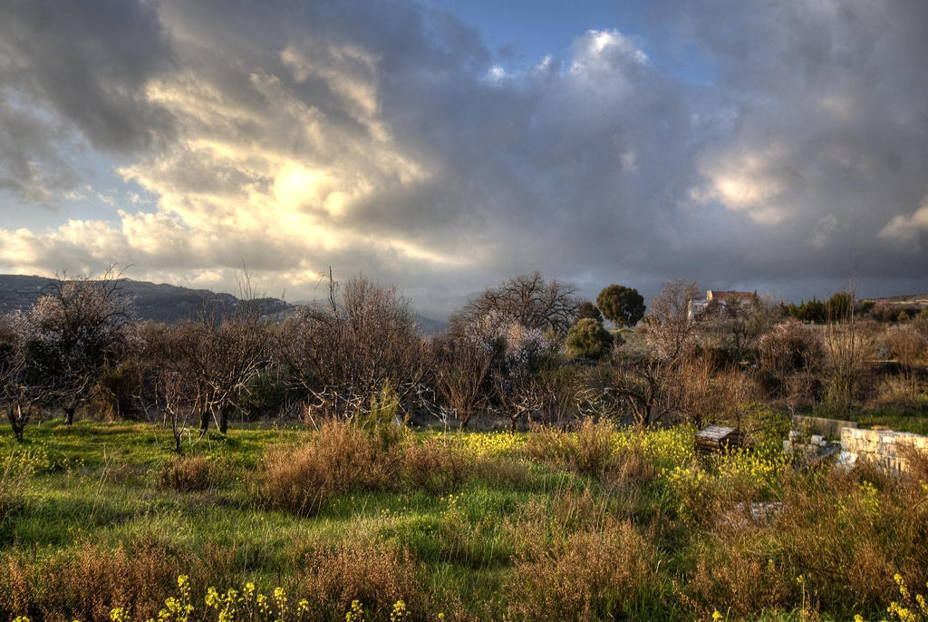 Villa Lania Royal Oak House By Trulycyprus Extérieur photo